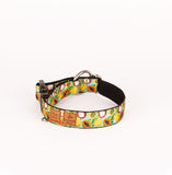 Exotic fruits Collar for pets