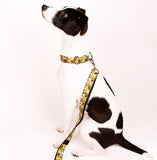 Exotic fruits Collar for pets